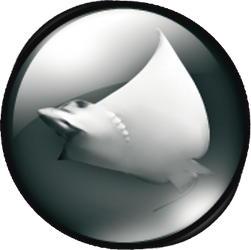 BlackRay Logo