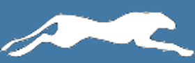 Cheetah Logo