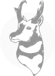 Datascope Logo