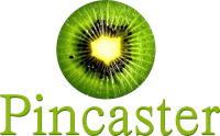 Pincaster