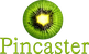 Pincaster