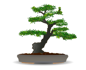 Serenity Logo