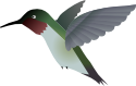SmallSQL