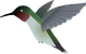SmallSQL