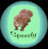 Speedy