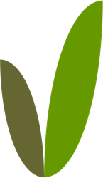 VanillaDB Logo